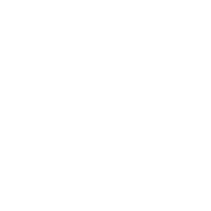 Website Wartung, WordPress Updates, Website Performance Optimierung